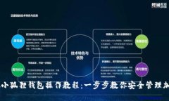 中本聪小狐狸钱包操作教