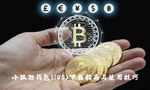 小狐狸钱包(iOS)下载指南与使用技巧