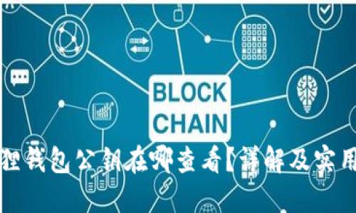 小狐狸钱包公钥在哪查看？详解及实用指南