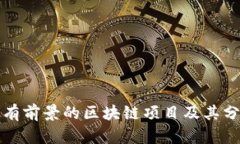 最有前景的区块链项目及
