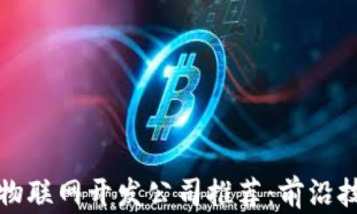 
区块链与物联网开发公司推荐：前沿技术的结合