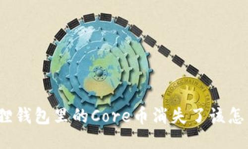 小狐狸钱包里的Core币消失了该怎么办？