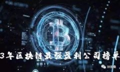 2023年区块链最强盈利公司