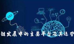 区块链发展中的主要平台