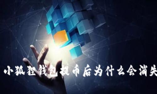 : 小狐狸钱包提币后为什么会消失？