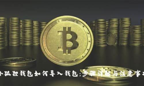 小狐狸钱包如何导入钱包：步骤详解与注意事项