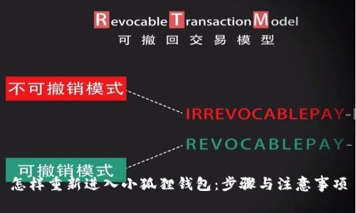怎样重新进入小狐狸钱包：步骤与注意事项