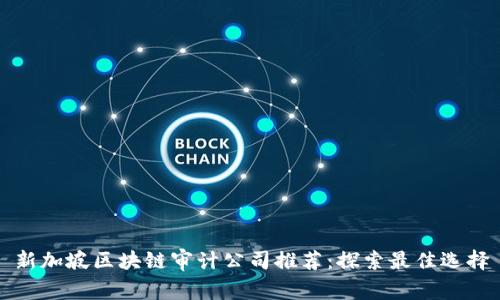 新加坡区块链审计公司推荐：探索最佳选择