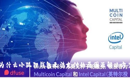为什么小狐狸钱包无法支付的原因及解决方案