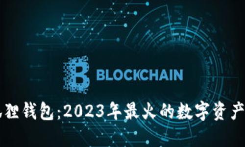 中本小狐狸钱包：2023年最火的数字资产管理工具