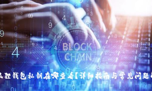 小狐狸钱包私钥在哪查看？详细指南与常见问题解答