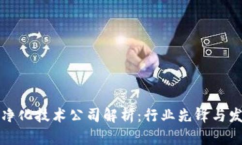 区块链净化技术公司解析：行业先锋与发展现状