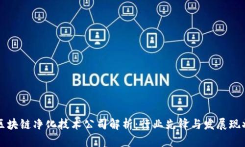 区块链净化技术公司解析：行业先锋与发展现状