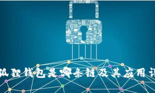 小狐狸钱包是哪条链及其应用详解