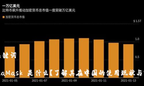 与关键词

MetaMask 是什么？了解其在中国的使用现状与前景
