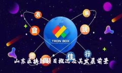 山东区块链项目概况及其