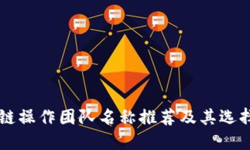 区块链操作团队名称推荐及其选择指南