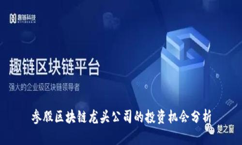参股区块链龙头公司的投资机会分析