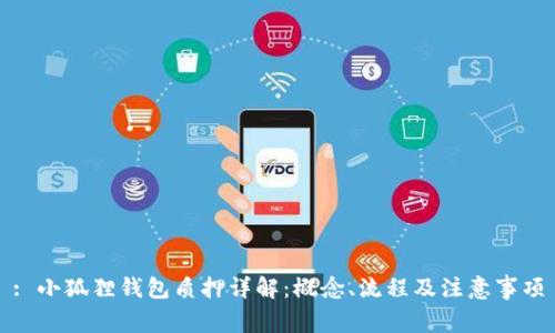 : 小狐狸钱包质押详解：概念、流程及注意事项