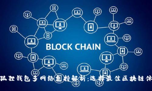 小狐狸钱包多网络支持解析：选择最佳区块链体验