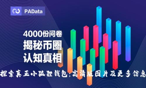 探索真正小狐狸钱包：高清版图片及更多信息