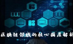 区块链领域的核心圈层解