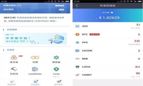 Metamask如何添加自定义网络：详细指南