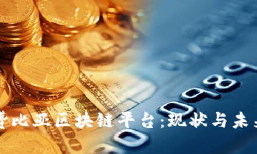 赞比亚区块链平台：现状与未来