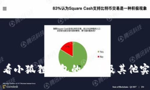 如何查看小狐狸钱包的版本及其他实用指南