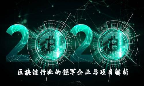 区块链行业的领军企业与项目解析