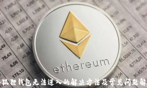 
小狐狸钱包无法进入的解决方法及常见问题解析
