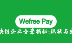 湖南区块链企业全景揭秘