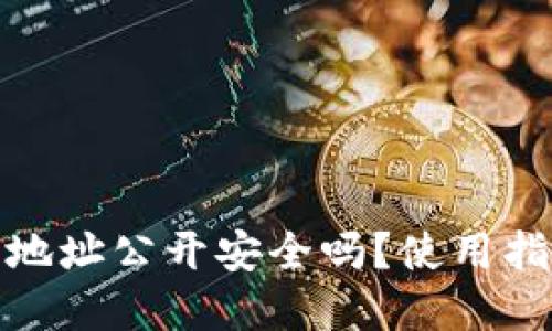 : 小狐狸钱包地址公开安全吗？使用指南与最佳实践