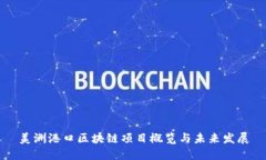 美洲港口区块链项目概览