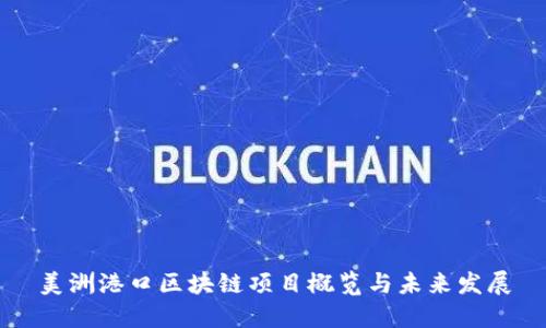 美洲港口区块链项目概览与未来发展