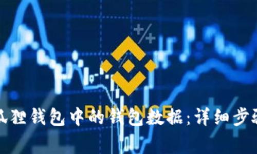 如何删除小狐狸钱包中的钱包数据：详细步骤和注意事项