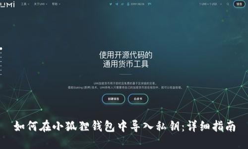 如何在小狐狸钱包中导入私钥：详细指南