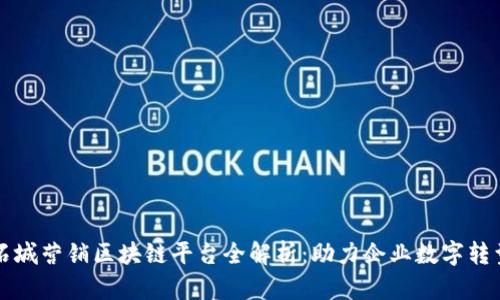 石城营销区块链平台全解析：助力企业数字转型