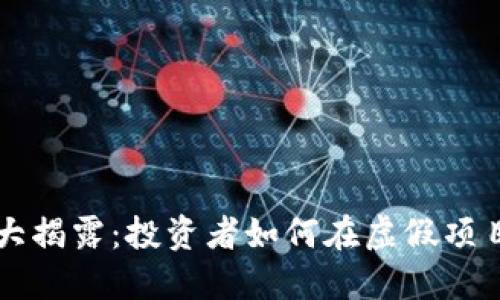 区块链骗局大揭露：投资者如何在虚假项目中血本无归