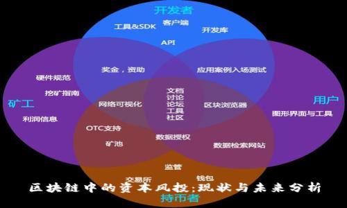区块链中的资本风投：现状与未来分析