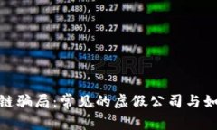 : 揭露区块链骗局：常见的