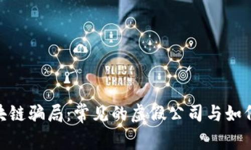 : 揭露区块链骗局：常见的虚假公司与如何识别它们