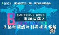 区块链领域的创新项目详