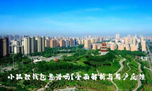小狐狸钱包靠谱吗？全面解析与用户反馈