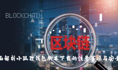 : 全面解析小狐狸钱包脚本下载的注意事项与安全策略