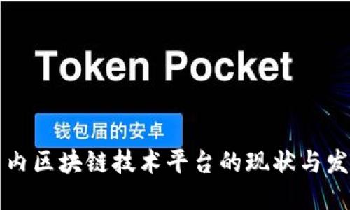 国内区块链技术平台的现状与发展