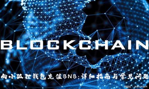 怎么向小狐狸钱包充值BNB：详细指南与常见问题解答