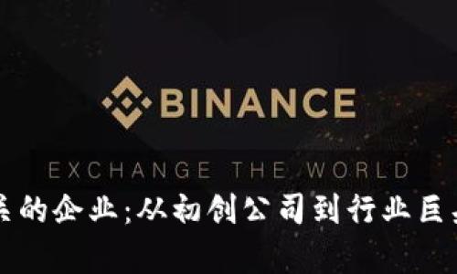与区块链相关的企业：从初创公司到行业巨头的全面分析