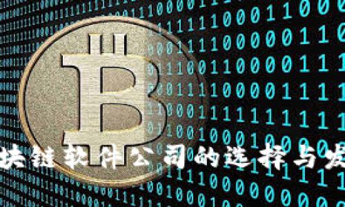 宁都区块链软件公司的选择与发展趋势