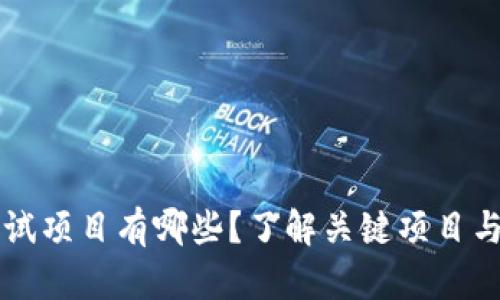 区块链测试项目有哪些？了解关键项目与测试方法